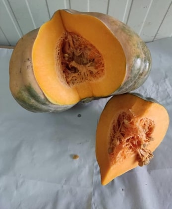 Citrouille — 3