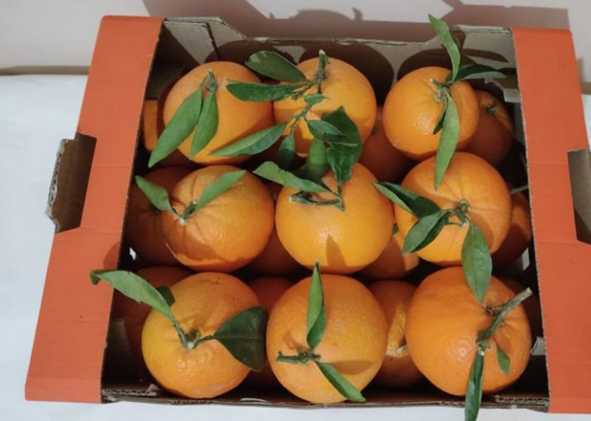 Oranges Navel