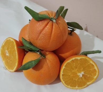 Oranges Navel — 2