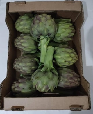 Artichauts