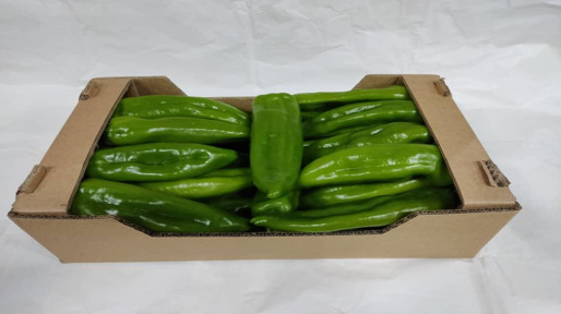 Poivron Long Doux — 4