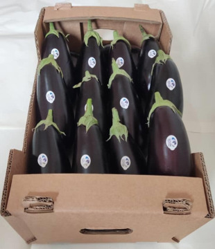 Aubergines Noires — 2